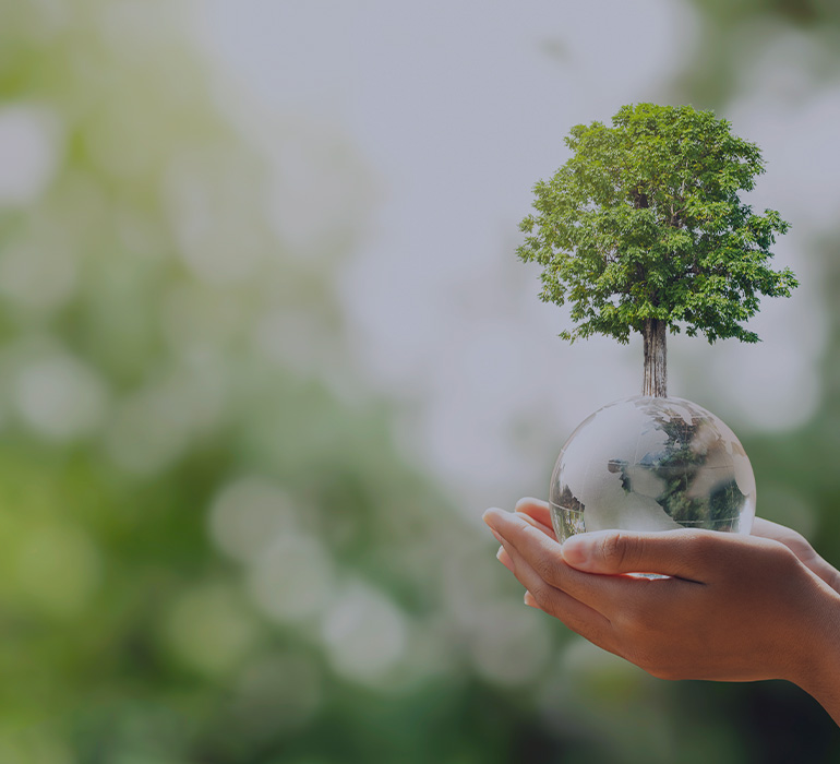 main tenant une boule reprÃ©sentant la terre avec un arbre qui pousse et un arriÃ¨re-plan flou de nature verte. concept Ã©cologique